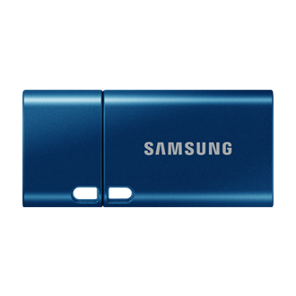 Samsung USB Type-C™ Flash Drive 256 GB MUF-256DA/APC - Obrázok 1